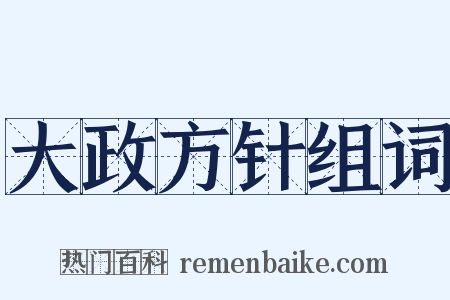 大政方针组词是什么意思的图片